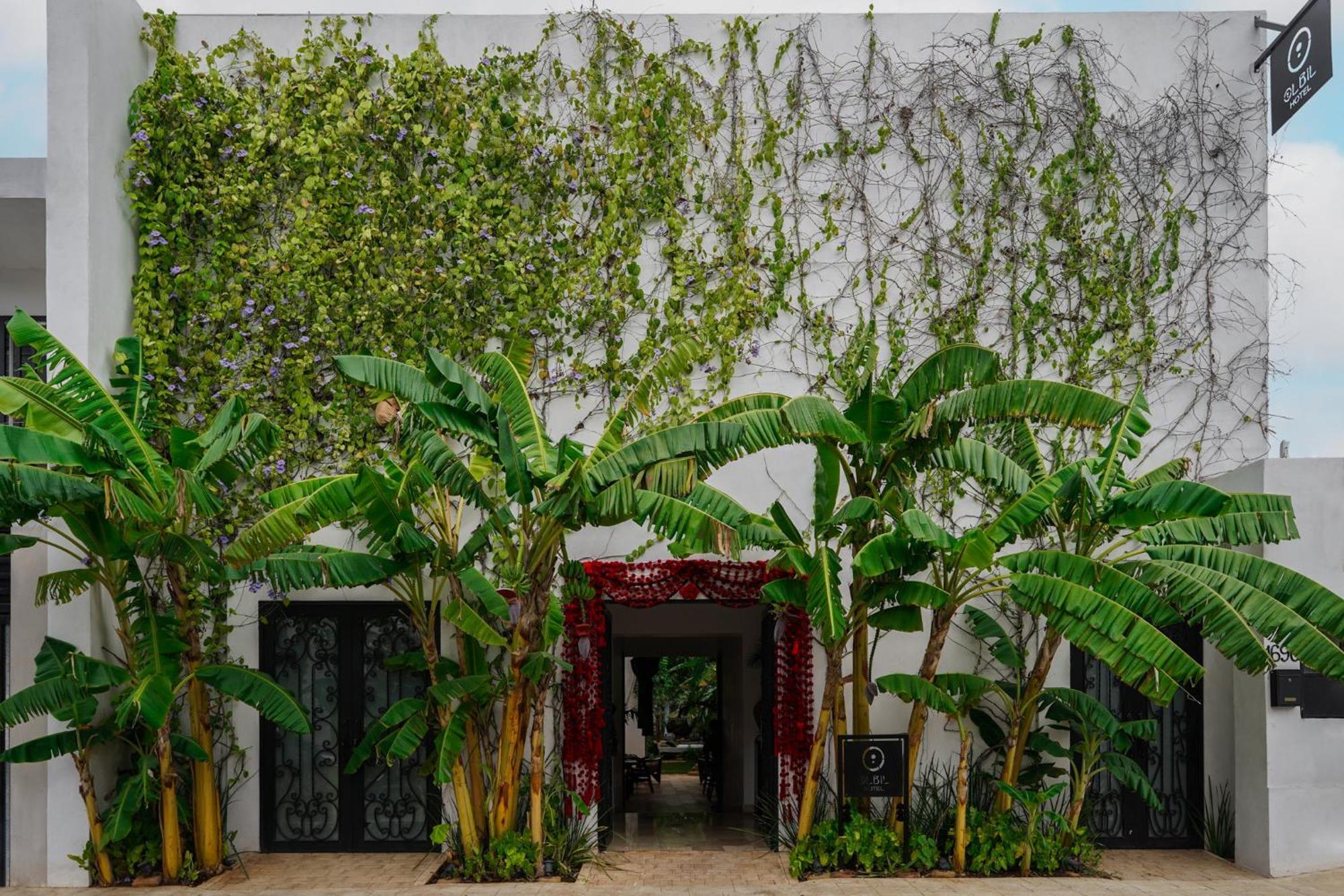 Olbil Hotel Boutique فالادوليد المظهر الخارجي الصورة